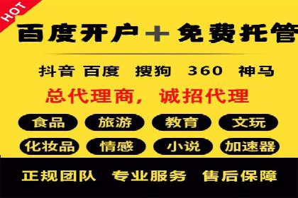 某行业SEM竞价策略的运营实践与效果